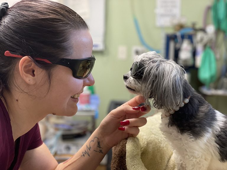 Experiencing an Emergency? Kind Care Animal Hospital